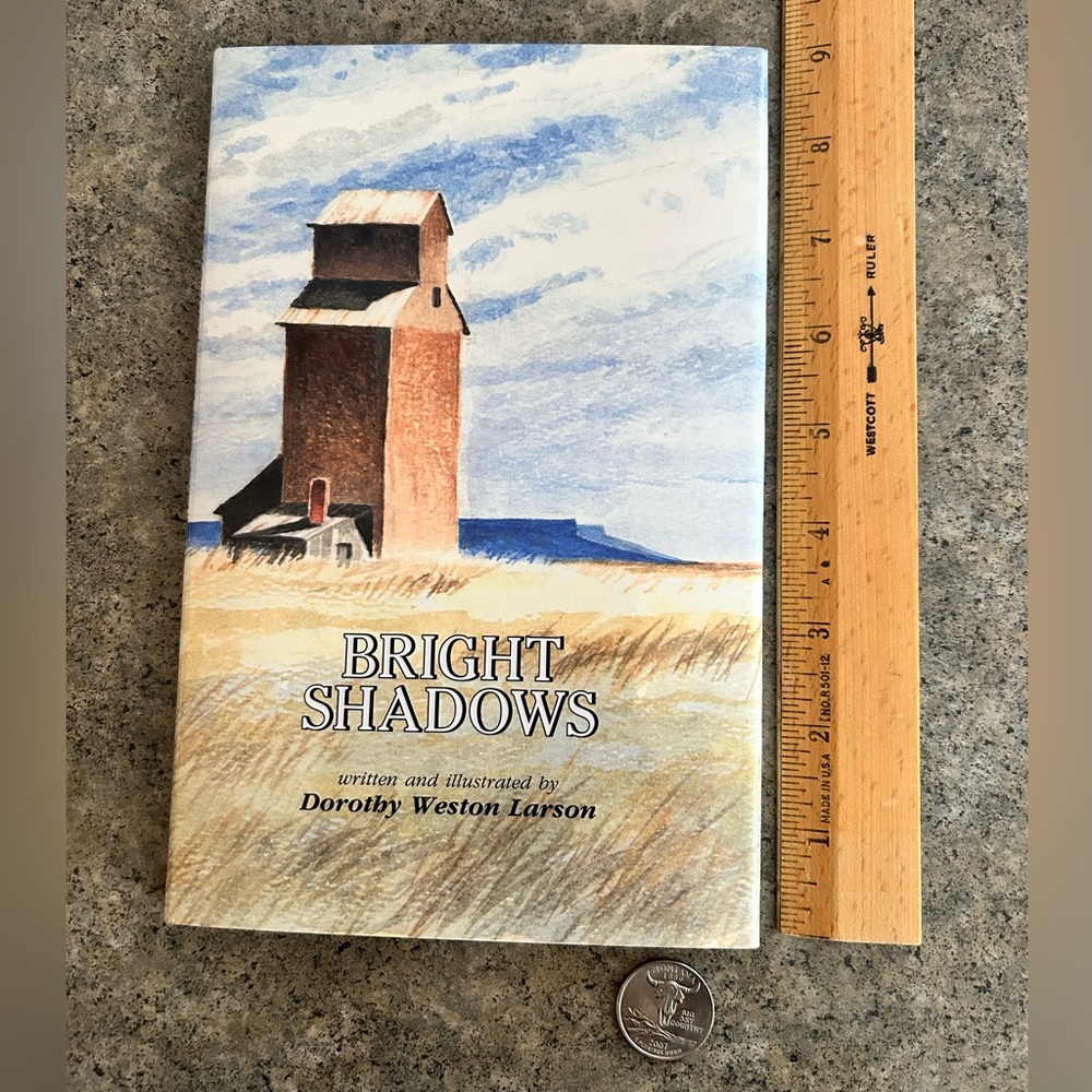 📕 Bright Shadows Out of Print and Vintage [Dorothy Larson] Western Decor Book